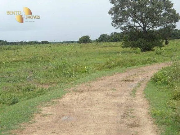 Fazenda à venda de 88.000 ha em Poconé, MT, Brasil