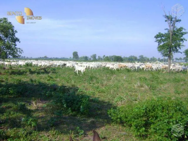 Fazenda à venda de 88.000 ha em Poconé, MT, Brasil
