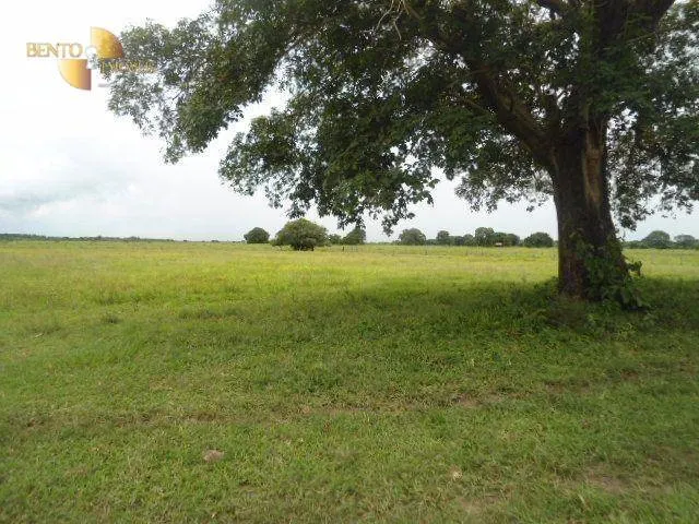 Fazenda à venda de 88.000 ha em Poconé, MT, Brasil