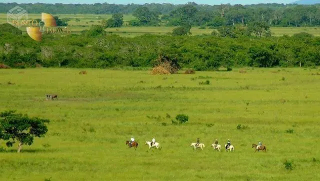 Fazenda à venda de 88.000 ha em Poconé, MT, Brasil