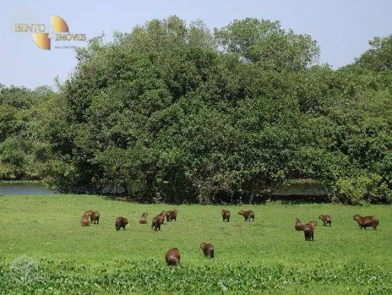 Fazenda à venda de 88.000 ha em Poconé, MT, Brasil