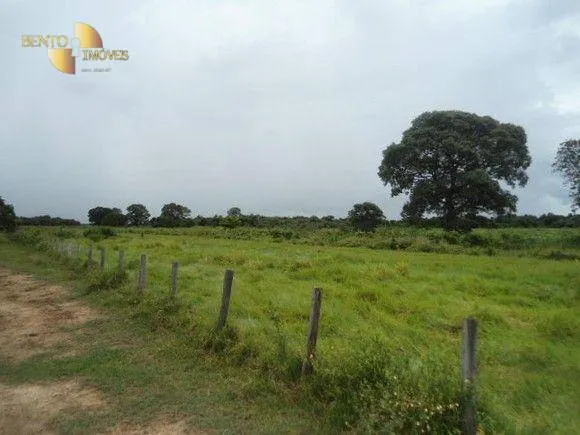 Fazenda à venda de 88.000 ha em Poconé, MT, Brasil