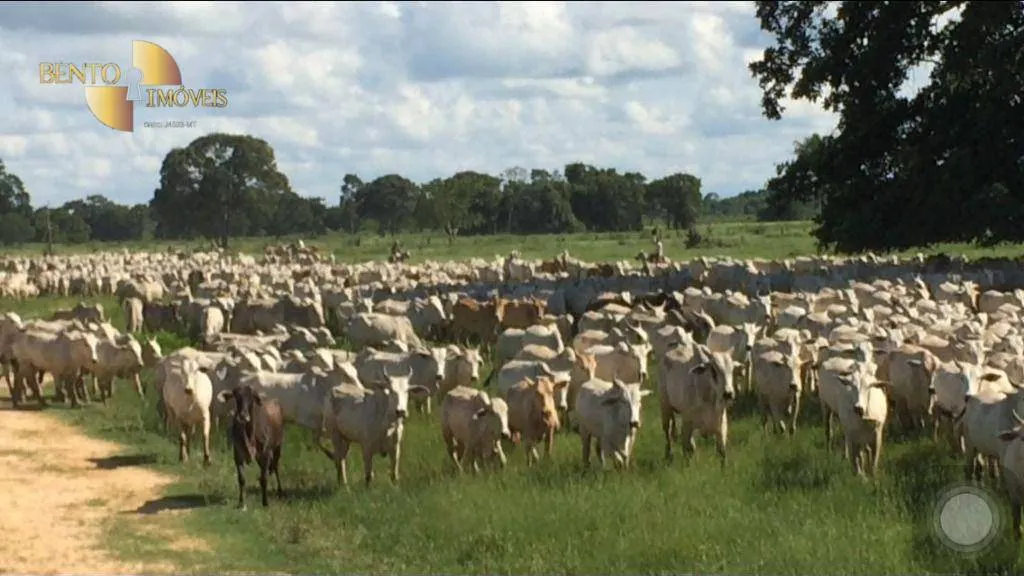 Fazenda à venda de 88.000 ha em Poconé, MT, Brasil