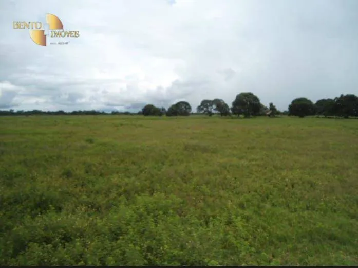 Fazenda à venda de 88.000 ha em Poconé, MT, Brasil