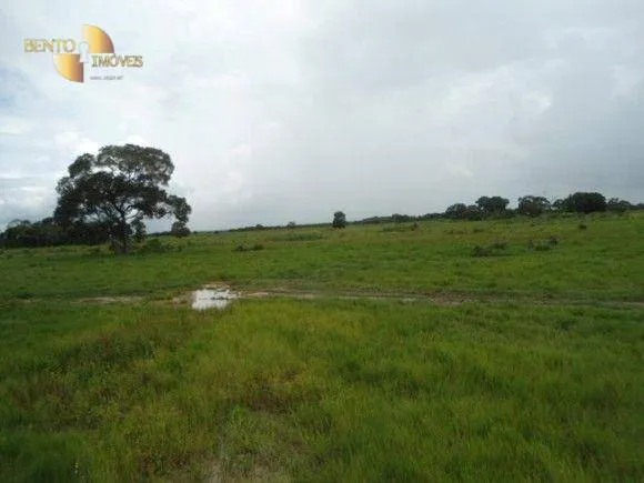 Fazenda à venda de 88.000 ha em Poconé, MT, Brasil