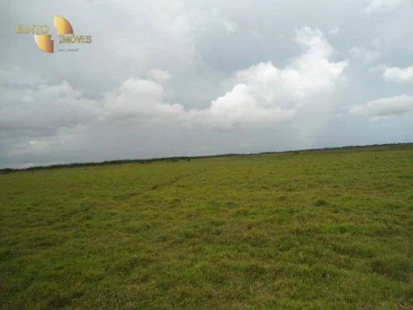 Fazenda à venda de 88.000 ha em Poconé, MT, Brasil