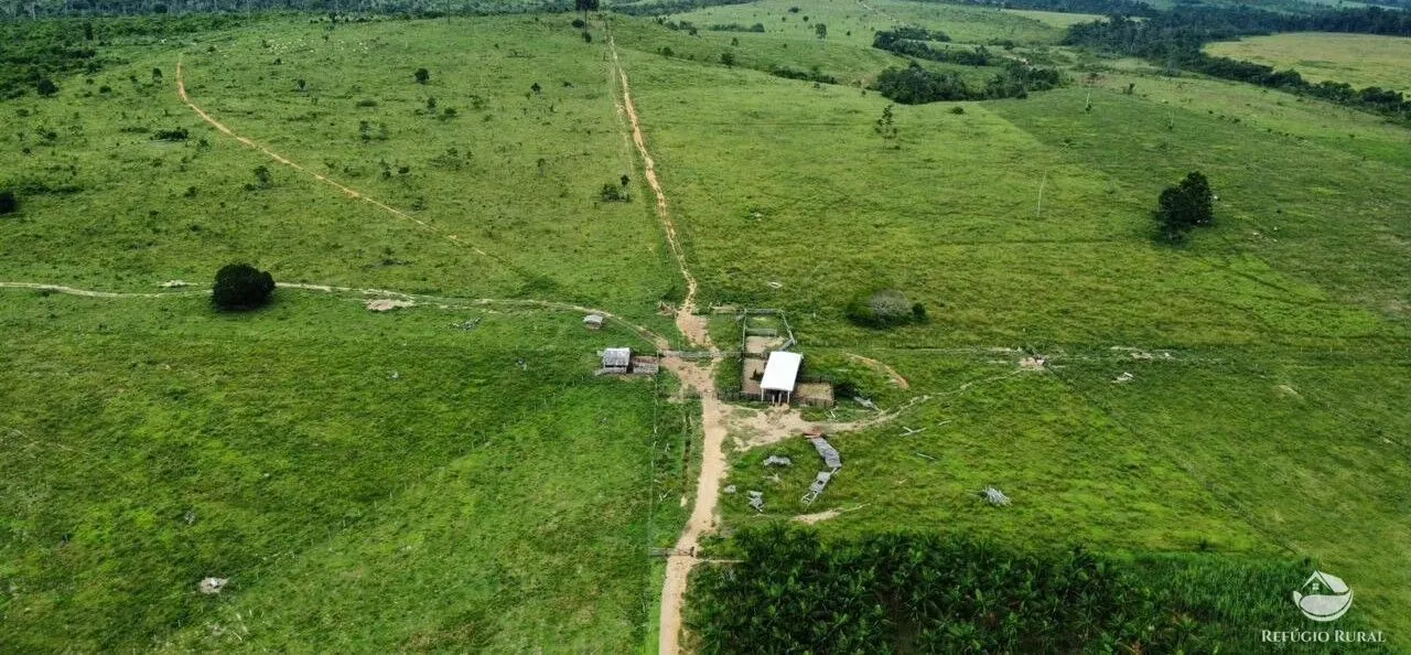 Fazenda à venda de 1.160 ha em Novo Progresso, PA, Brasil