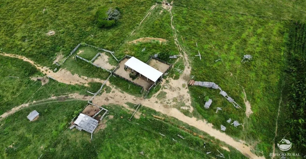 Fazenda à venda de 1.160 ha em Novo Progresso, PA, Brasil
