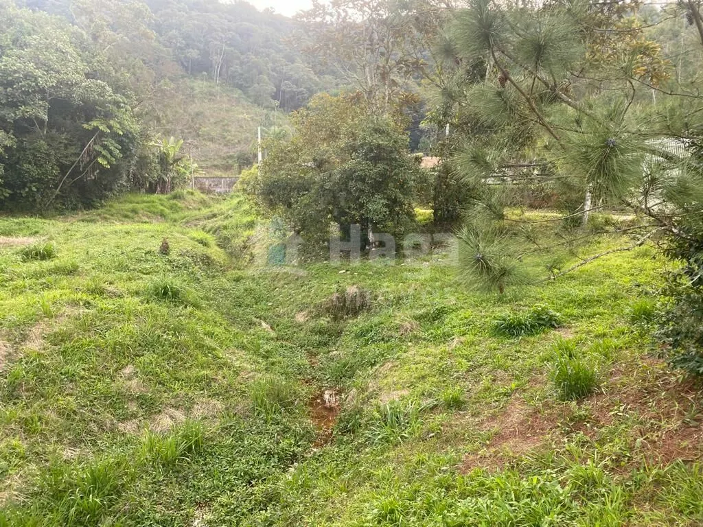 Chácara à venda de 3.500 m² em Nova Trento, SC, Brasil