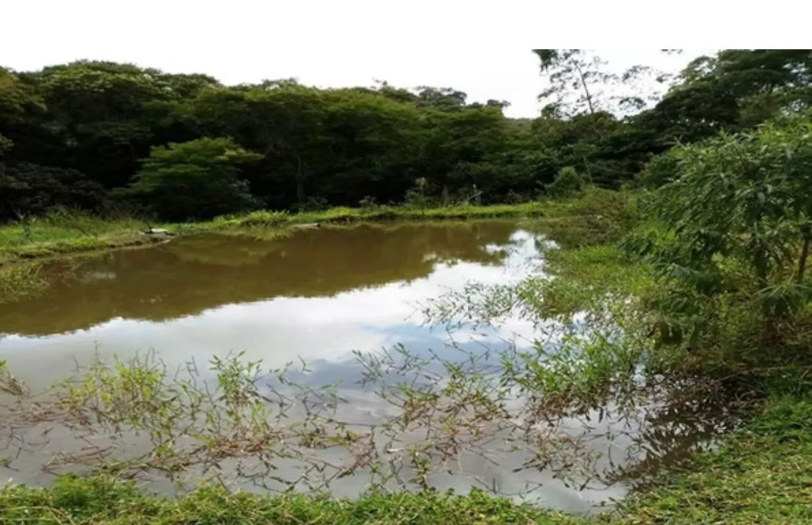 Small farm for sale of 146 acres in Santos Dumont, MG, Brazil
