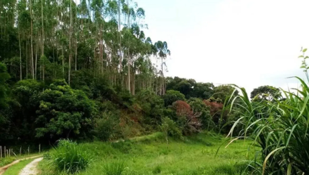 Small farm for sale of 146 acres in Santos Dumont, MG, Brazil
