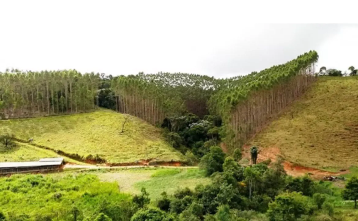 Small farm for sale of 146 acres in Santos Dumont, MG, Brazil