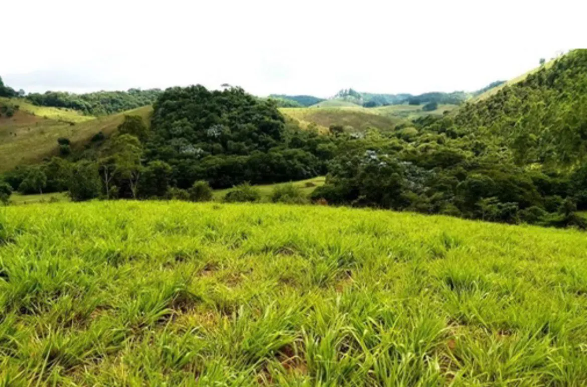 Small farm for sale of 146 acres in Santos Dumont, MG, Brazil