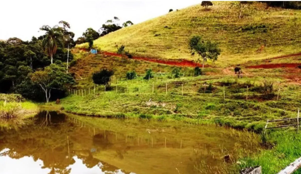 Sítio à venda de 59 ha em Santos Dumont, MG, Brasil
