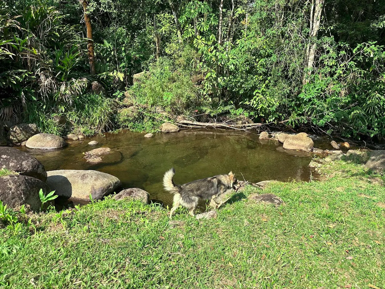 Sítio à venda de 2 ha em Monteiro Lobato, SP, Brasil