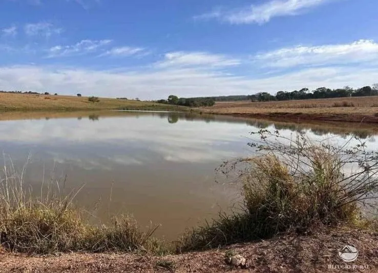 Fazenda à venda de 3.465 ha em Caldas Novas, GO, Brasil
