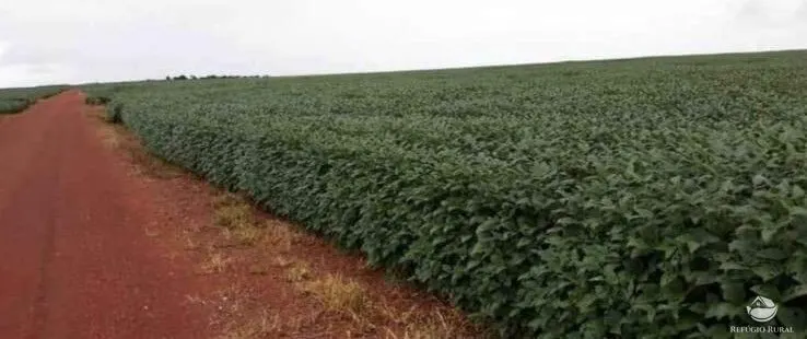 Fazenda à venda de 3.465 ha em Caldas Novas, GO, Brasil