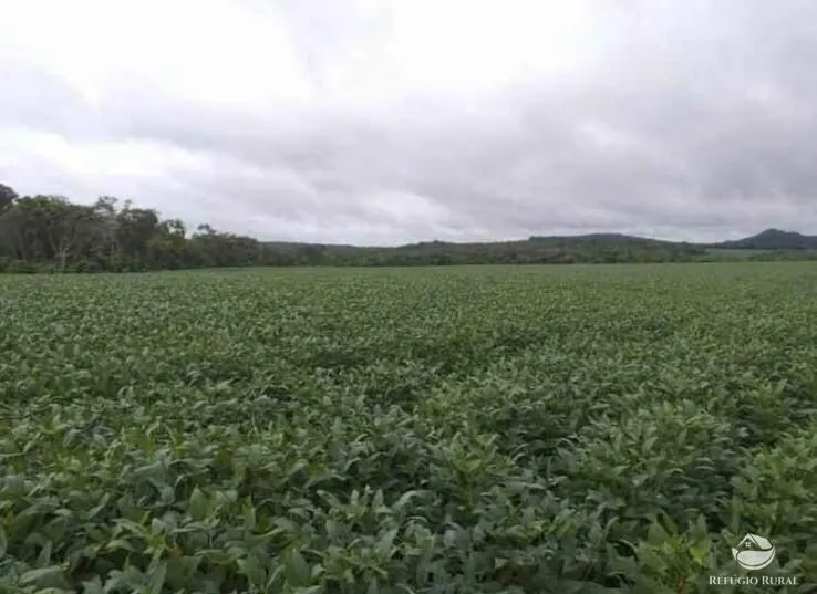 Fazenda à venda de 3.465 ha em Caldas Novas, GO, Brasil