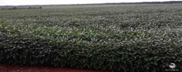 Fazenda à venda de 3.465 ha em Caldas Novas, GO, Brasil