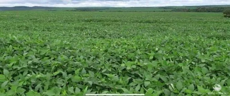 Fazenda à venda de 3.465 ha em Caldas Novas, GO, Brasil
