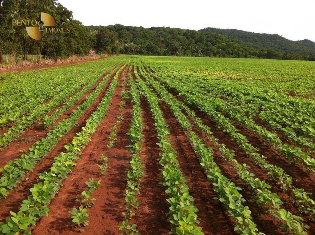 Fazenda à venda de 3.711 ha em Rosário Oeste, MT, Brasil