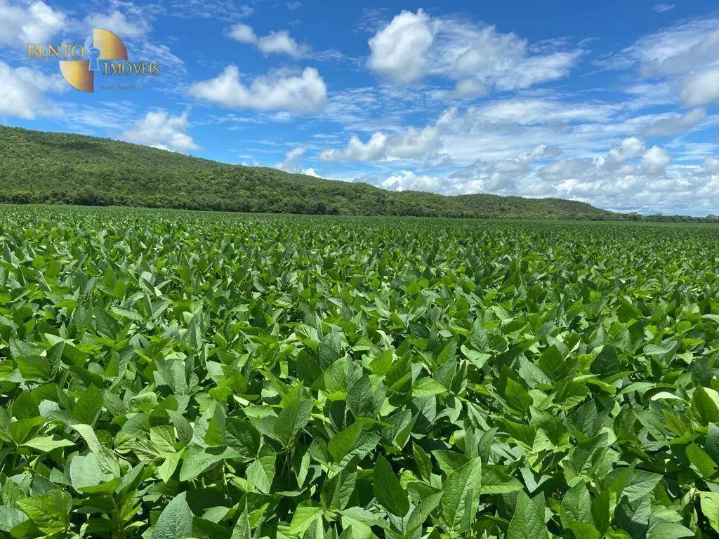 Fazenda à venda de 3.711 ha em Rosário Oeste, MT, Brasil