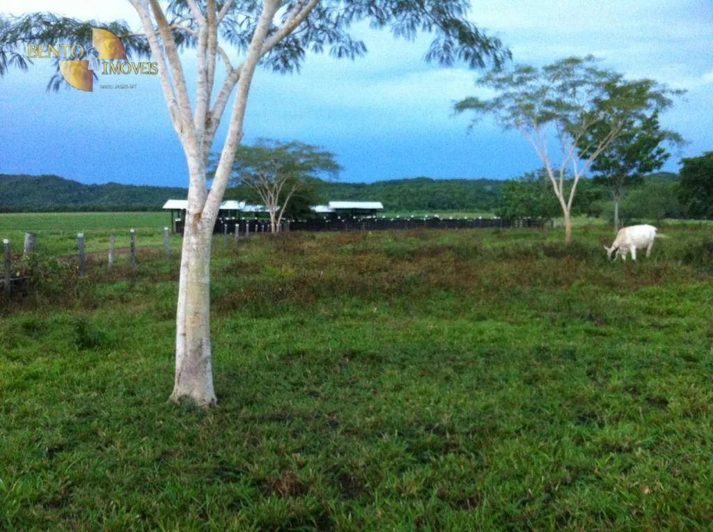 Fazenda à venda de 3.711 ha em Rosário Oeste, MT, Brasil