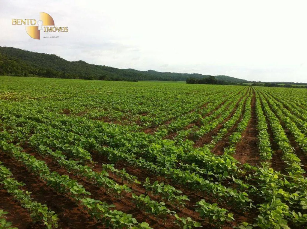 Fazenda à venda de 3.711 ha em Rosário Oeste, MT, Brasil