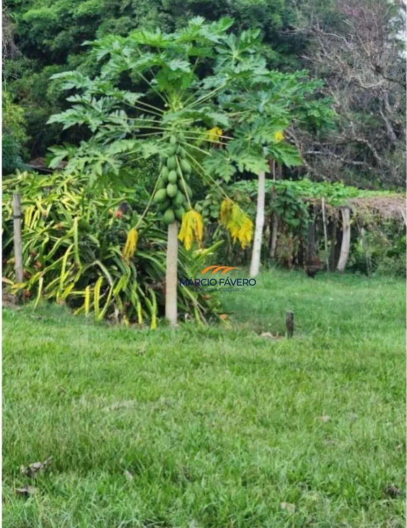 Fazenda à venda de 109 ha em Santa Rita do Passa Quatro, SP, Brasil