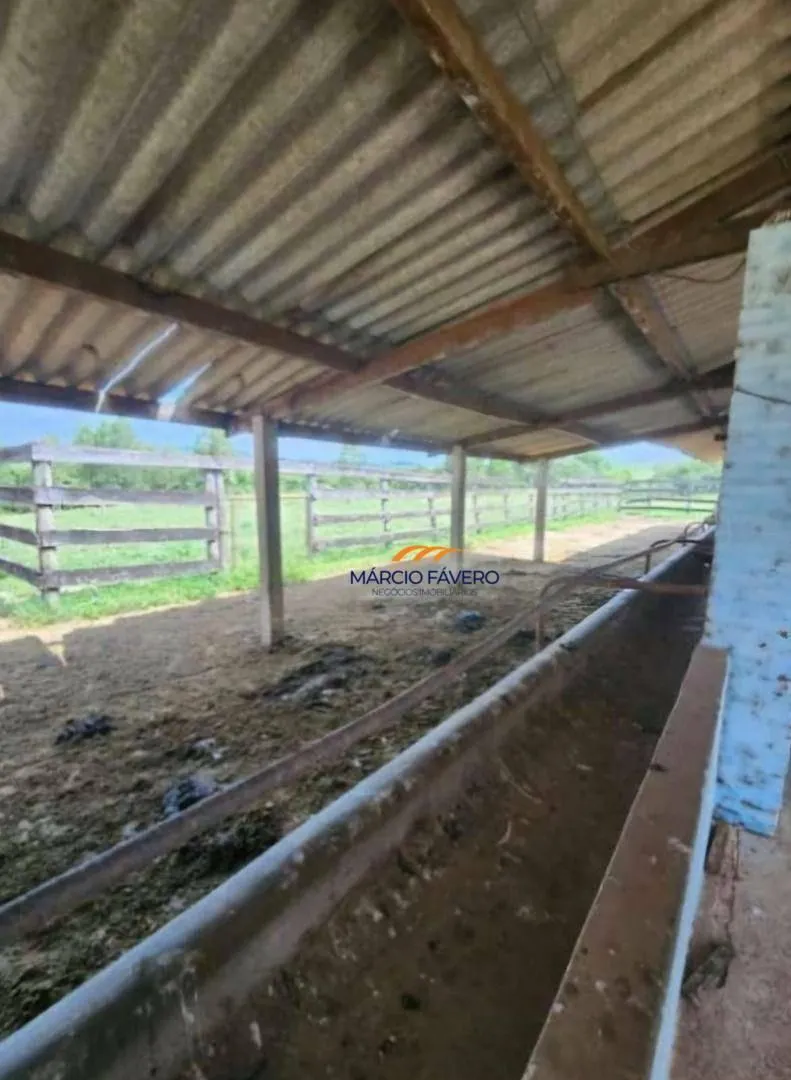 Fazenda à venda de 109 ha em Santa Rita do Passa Quatro, SP, Brasil