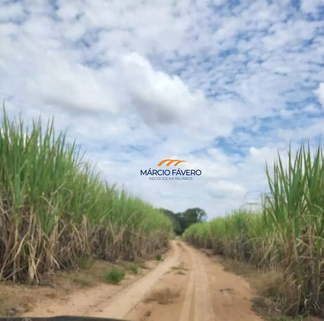 Fazenda à venda de 109 ha em Santa Rita do Passa Quatro, SP, Brasil