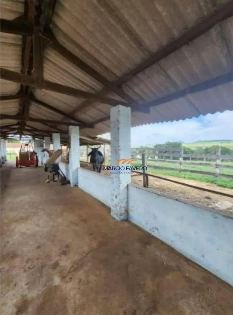 Fazenda à venda de 109 ha em Santa Rita do Passa Quatro, SP, Brasil