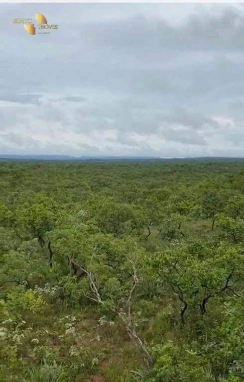Fazenda à venda de 1.009 ha em Chapada dos Guimarães, MT, Brasil