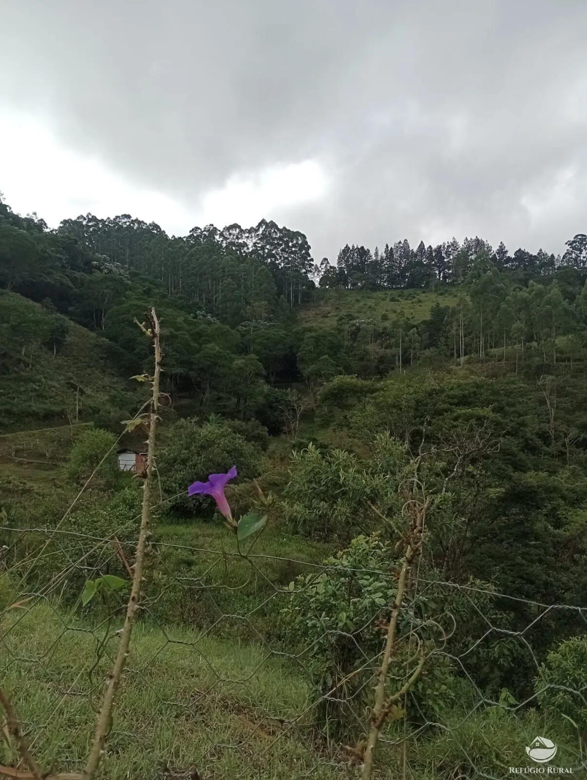 Sítio à venda de 7 ha em Monteiro Lobato, SP, Brasil
