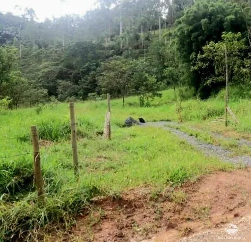Sítio à venda de 7 ha em Monteiro Lobato, SP, Brasil