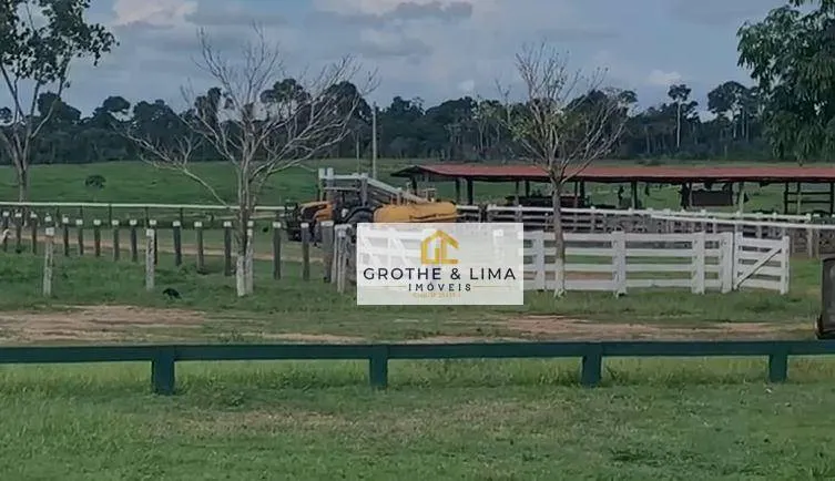 Fazenda à venda de 8.130 ha em São Félix do Xingu, PA, Brasil