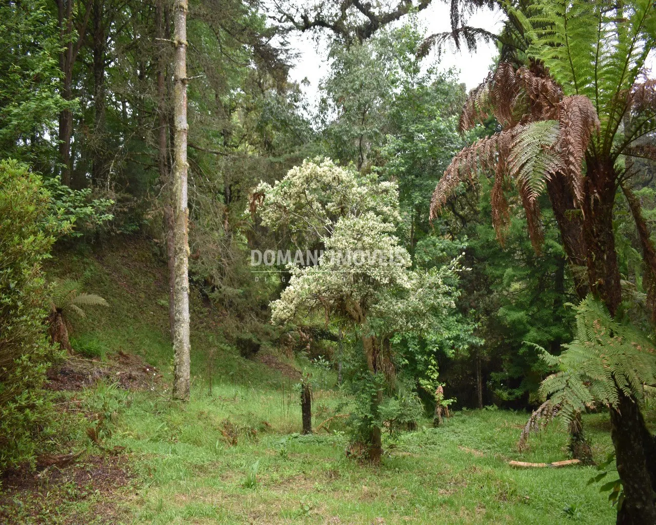 House for sale of 1 acres in Campos do Jordão, SP, Brazil