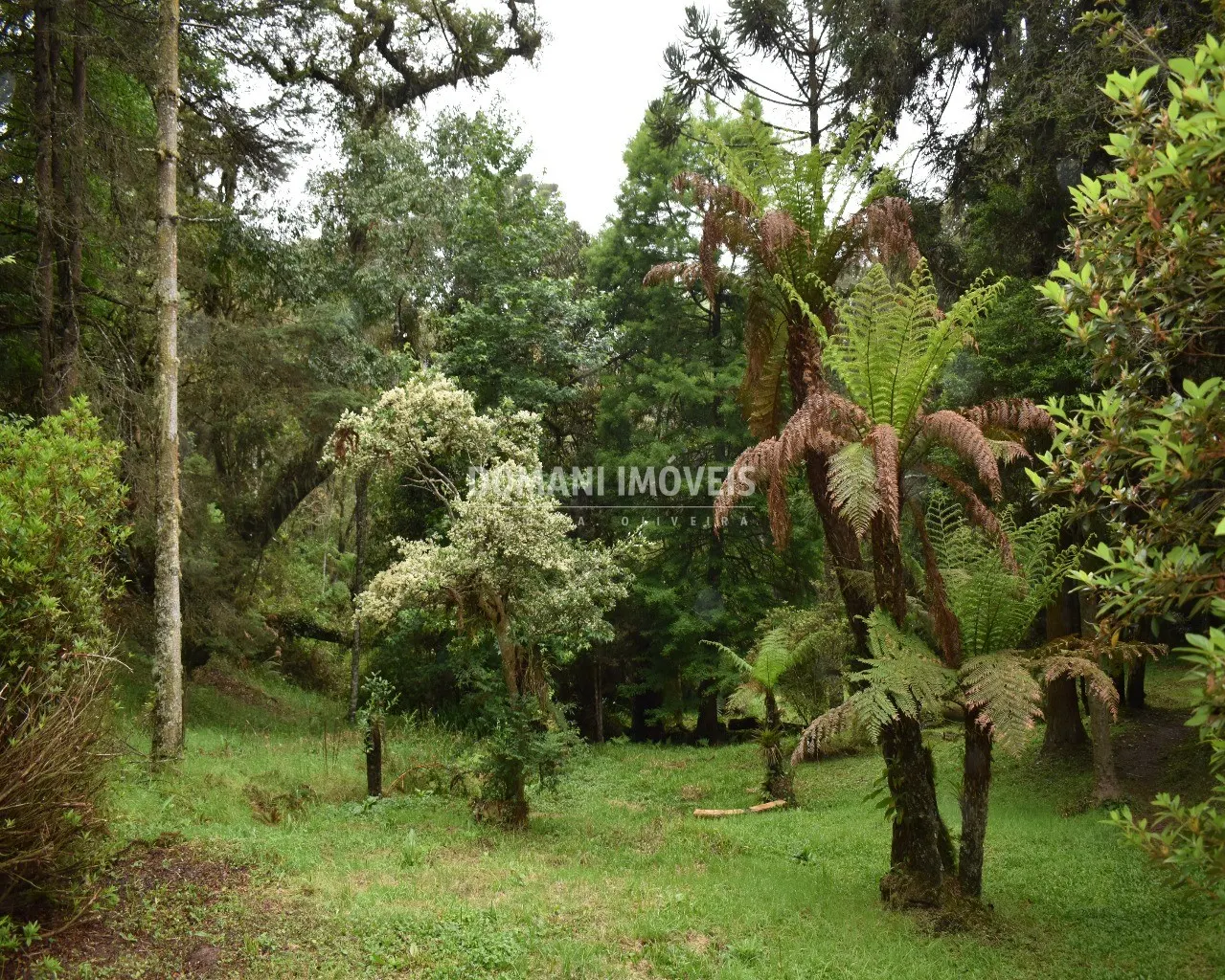 House for sale of 1 acres in Campos do Jordão, SP, Brazil