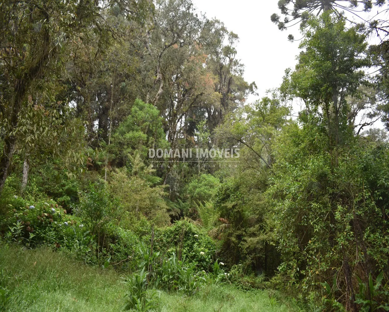 House for sale of 1 acres in Campos do Jordão, SP, Brazil