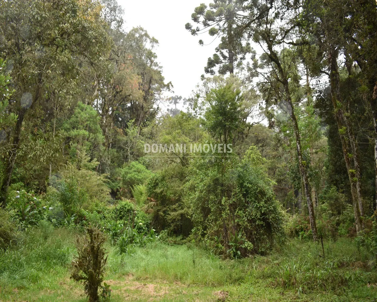 House for sale of 1 acres in Campos do Jordão, SP, Brazil