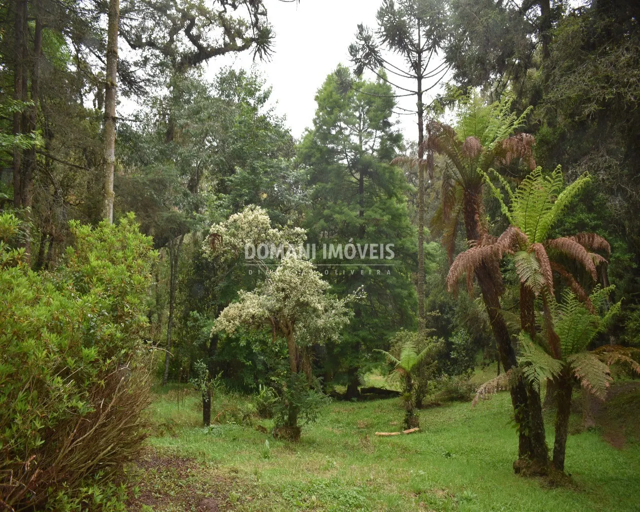 House for sale of 1 acres in Campos do Jordão, SP, Brazil