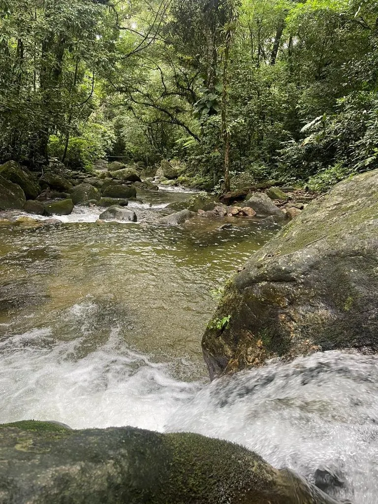 Sítio à venda de 10 ha em São Sebastião, SP, Brasil