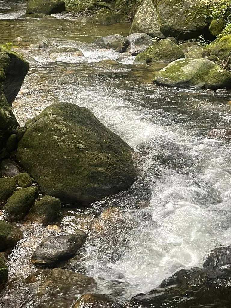 Sítio à venda de 10 ha em São Sebastião, SP, Brasil