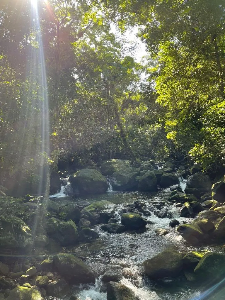 Sítio à venda de 10 ha em São Sebastião, SP, Brasil