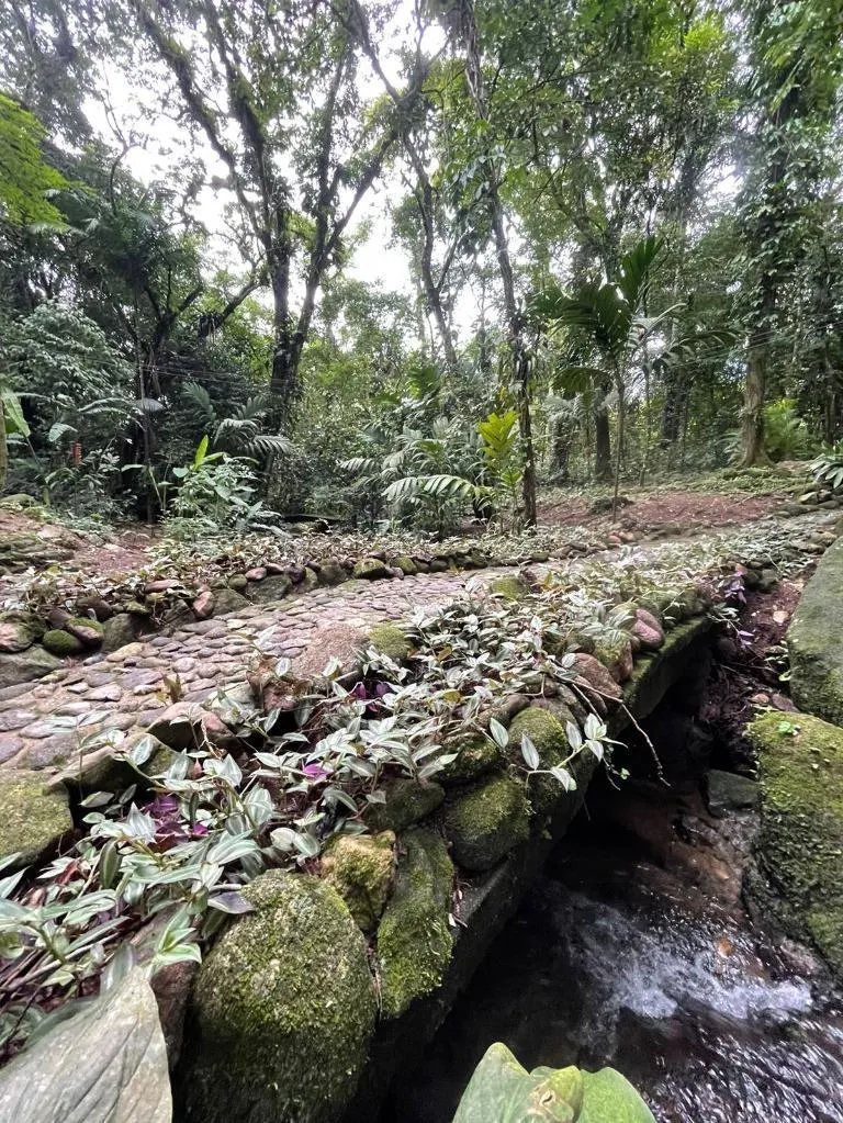 Sítio à venda de 10 ha em São Sebastião, SP, Brasil