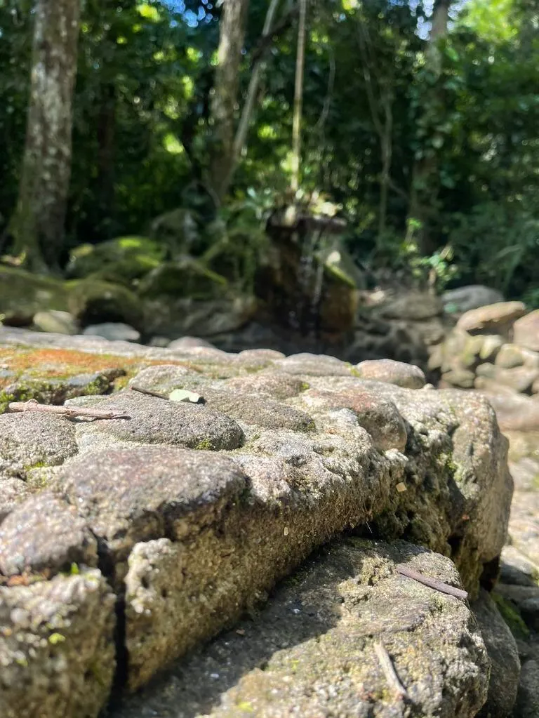 Sítio à venda de 10 ha em São Sebastião, SP, Brasil