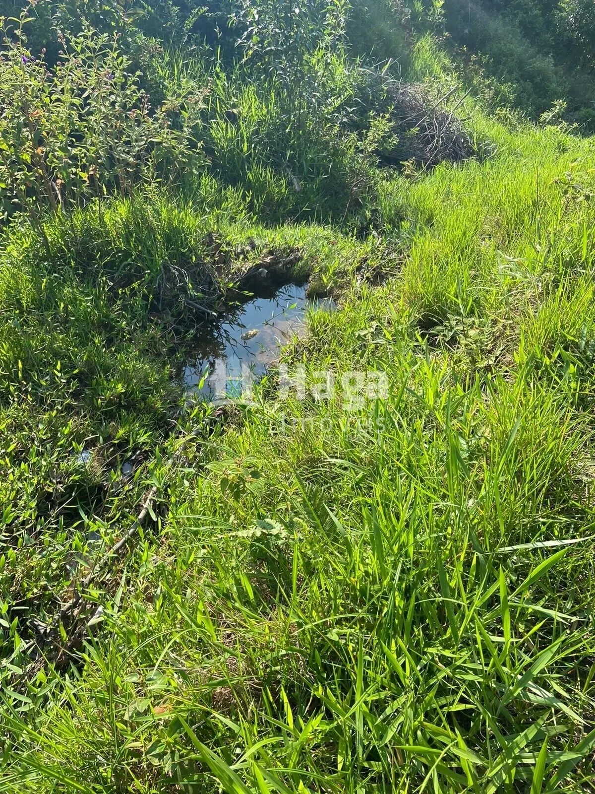 Chácara à venda de 3 ha em Tijucas, SC, Brasil