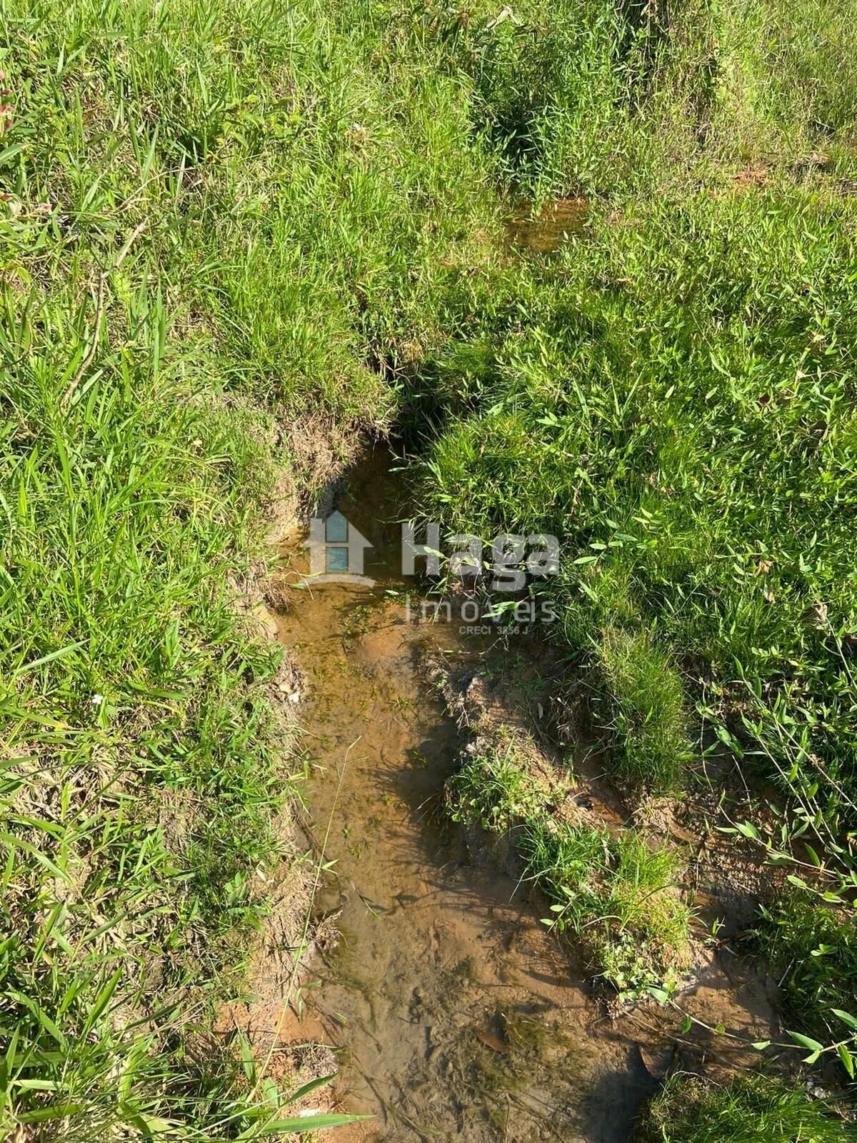 Chácara à venda de 3 ha em Tijucas, SC, Brasil