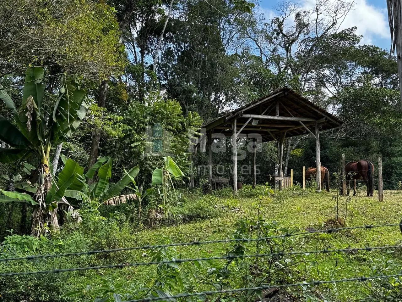 Fazenda à venda de 3.600 m² em Canelinha, SC, Brasil