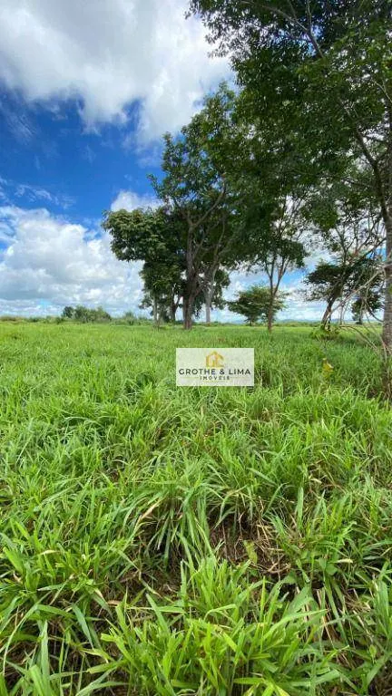 Fazenda à venda de 1.065 ha em Colinas do Tocantins, TO, Brasil